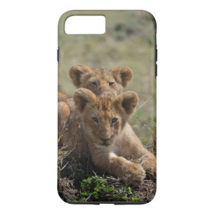 Funda Para iPhone 8 Plus/7 Plus Funda Wild African Lion Cubs iPhone 7 Plus