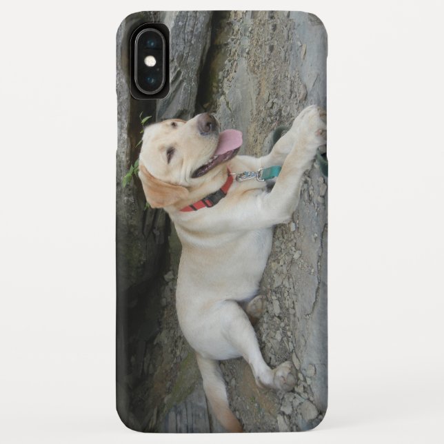 Funda De Case-Mate Para iPhone Funda Yellow Labrador Recuperever iPhone X (Reverso)