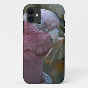 Funda Para iPhone 11 Galah o Cacatúa de pecho rosado