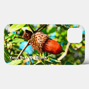 title_seo2 Galilee Acorn
