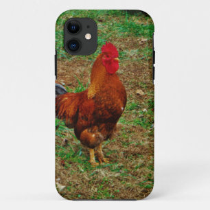Funda Para iPhone 11 Gallo