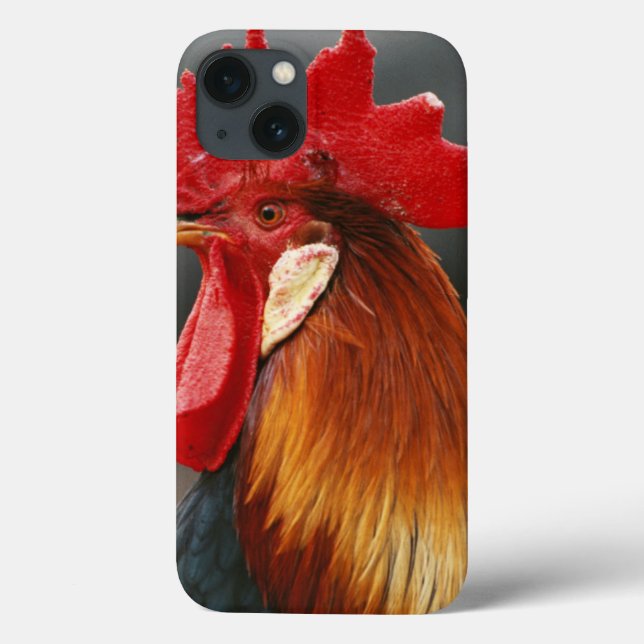 Funda De Case-Mate Para iPhone Gallo Doméstico de Granja (Reverso)