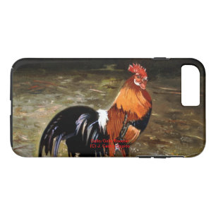 title_seo2 Gallo/Galo/Rooster