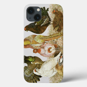 Funda Para iPhone 13 Game Birds