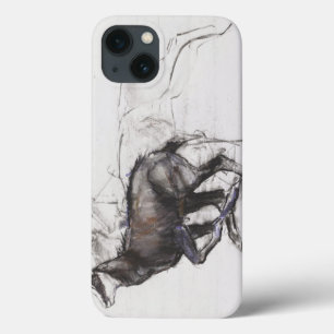 Funda Para iPhone 13 Gamuza corriente