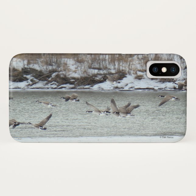 Funda De Case-Mate Para iPhone Gansos canadienses B7 (Reverso (horizontal))