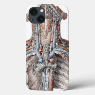 Funda Para iPhone 13 Garganta de anatomía humana vintage, cuello, pecho