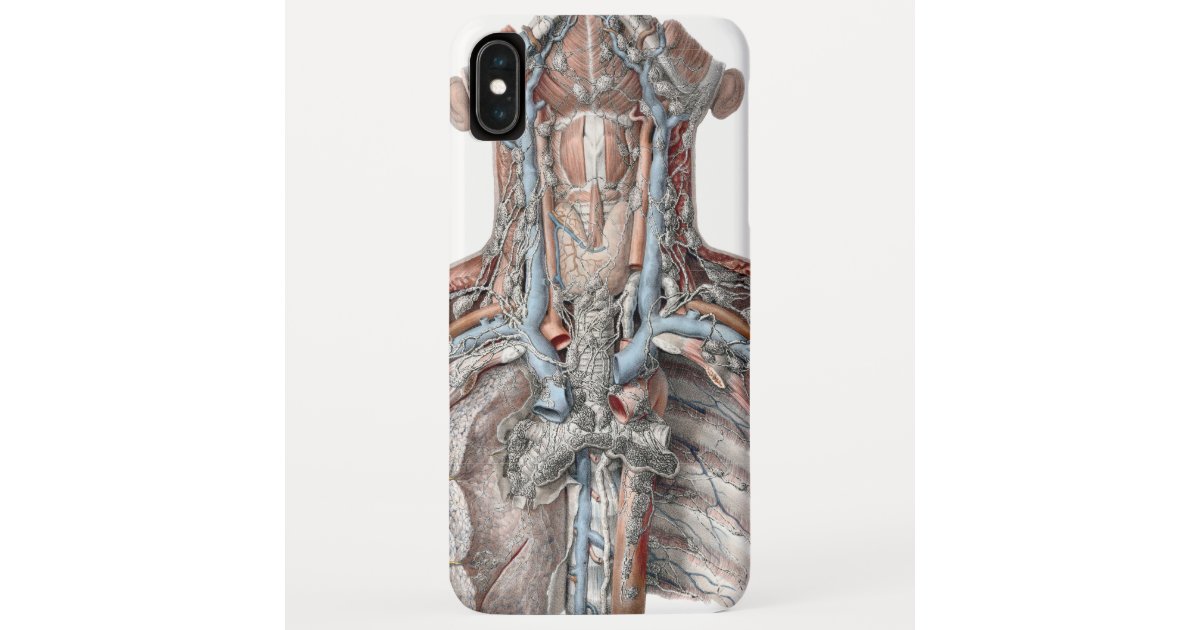 Funda De Case Mate Para Iphone Garganta Humana De La Anatomia Del Vintage Zazzle Es