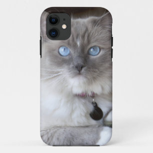 Funda Para iPhone 11 Gata Ragdoll hembra