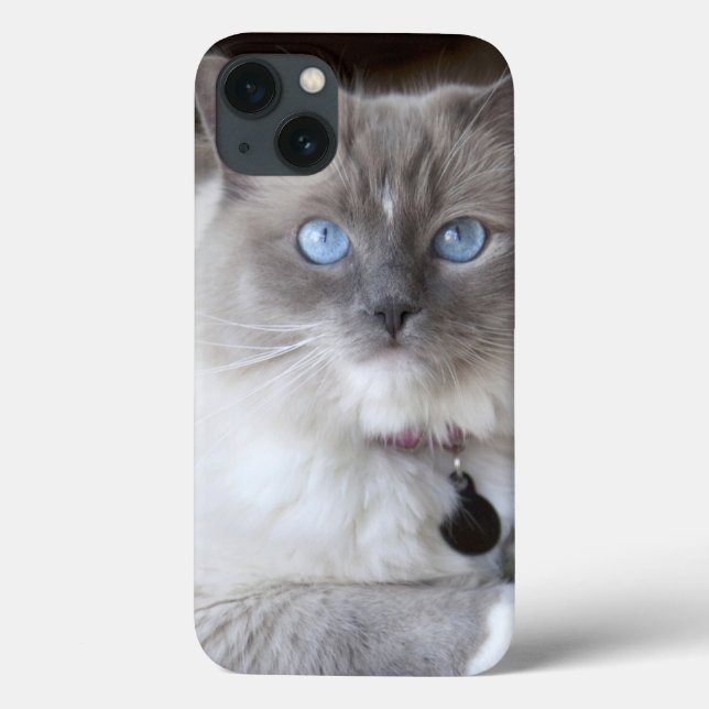 Funda De Case-Mate Para iPhone Gata Ragdoll hembra (Reverso)