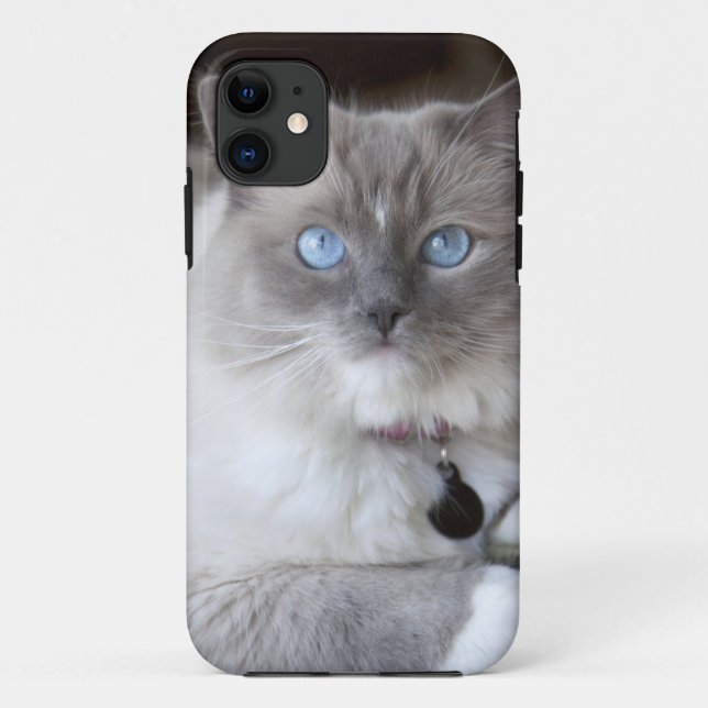 Funda De Case-Mate Para iPhone Gata Ragdoll hembra (Reverso)