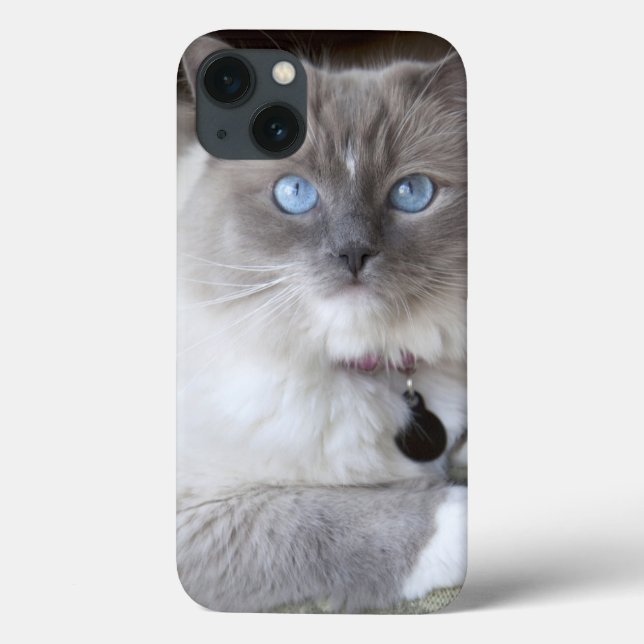Funda De Case-Mate Para iPhone Gata Ragdoll hembra (Reverso)