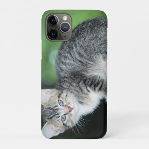 Funda Para iPhone 11 Pro Gatito