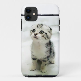 title_seo2 Gatito