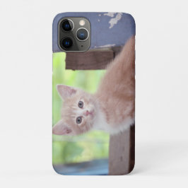 Funda Para iPhone 11 Pro Gatito