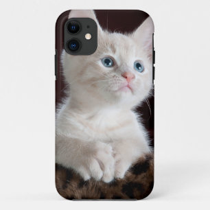 Funda Para iPhone 11 Gatito blanco súper lindo