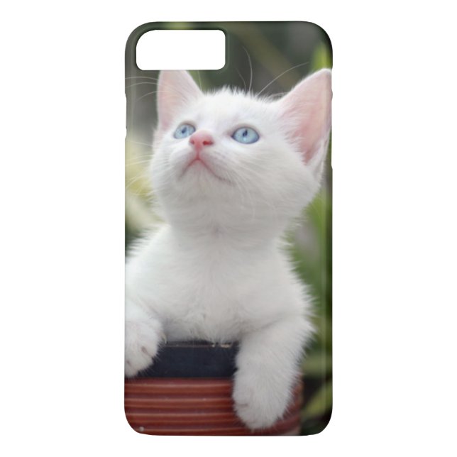 Funda De Case-Mate Para iPhone Gatito blanco turco (Reverso)