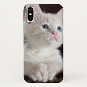 Funda Para iPhone X Gatito blanco vulnerable