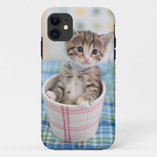 Funda Para iPhone 11 Gatito de Munchkin con la cinta bonita