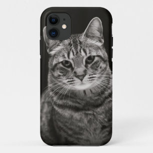 Funda Para iPhone 11 Gatito negro del Tabby