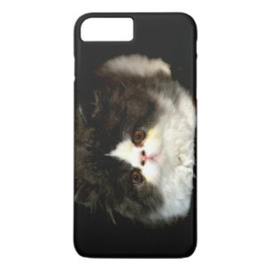 title_seo2 Gatito negro y blanco