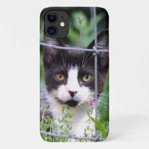 Funda Para iPhone 11 Gatito negro y blanco de esmoquin en el jardín