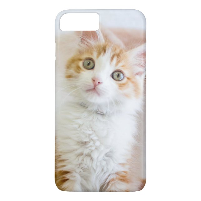 Funda De Case-Mate Para iPhone Gatito observado azul dulce (Reverso)