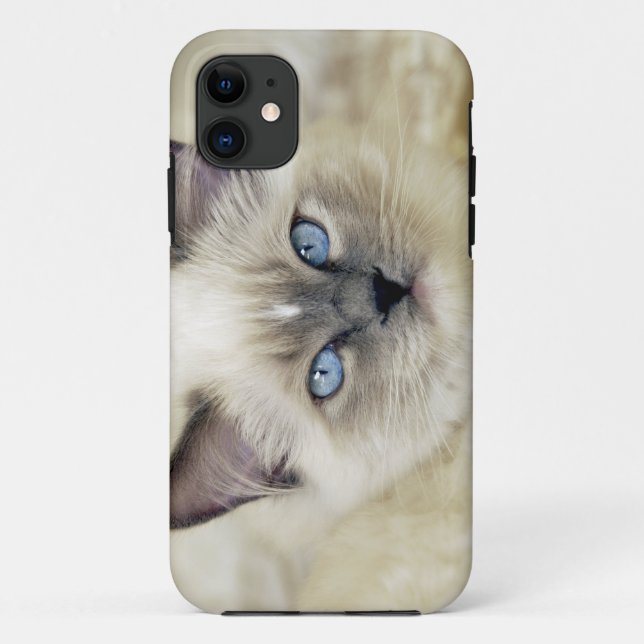 Funda De Case-Mate Para iPhone Gatito Ragdoll (Reverso)