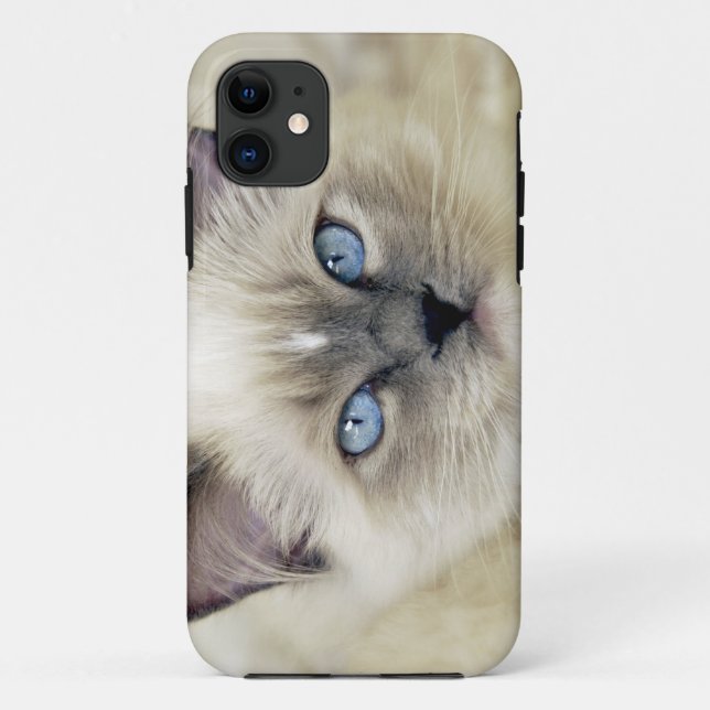 Funda De Case-Mate Para iPhone Gatito Ragdoll (Reverso)