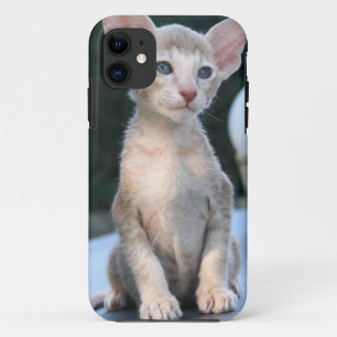 Funda Para iPhone 11 Gatito siamés en una mesa