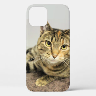 Funda Para iPhone 12 Gato