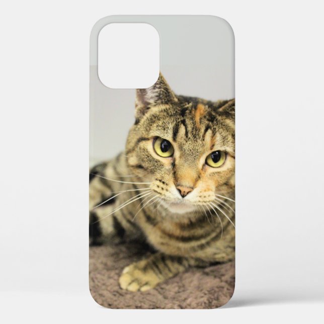 Funda De Case-Mate Para iPhone Gato (Reverso )