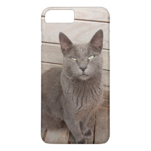Funda Para iPhone 8 Plus/7 Plus Gato