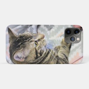 Funda Para iPhone 11 Pro Gato