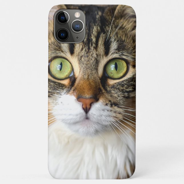 Funda De Case-Mate Para iPhone Gato (Reverso)