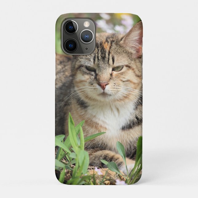 Funda De Case-Mate Para iPhone Gato (Reverso)