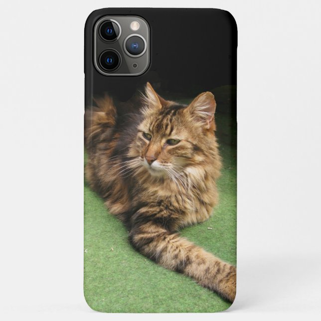 Funda De Case-Mate Para iPhone Gato (Reverso)