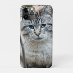 Funda Para iPhone 11 Pro Gato