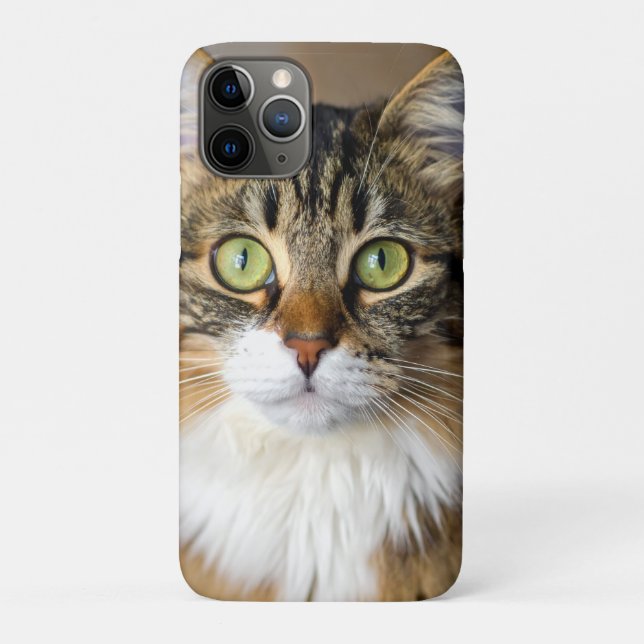 Funda De Case-Mate Para iPhone Gato (Reverso)