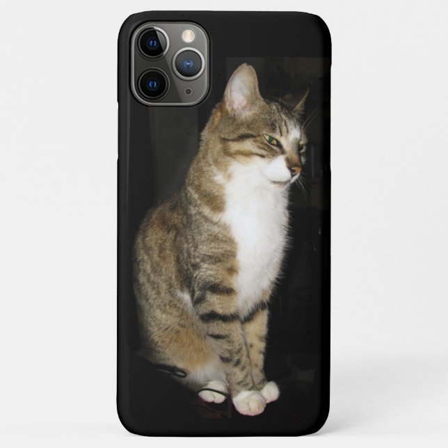 Funda De Case-Mate Para iPhone Gato (Reverso)