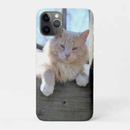 Funda Para iPhone 11 Pro Gato