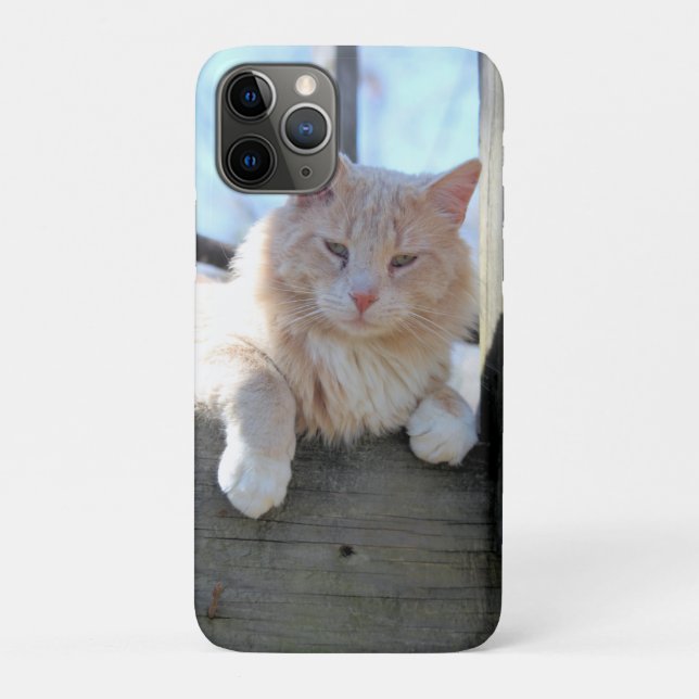Funda De Case-Mate Para iPhone Gato (Reverso)