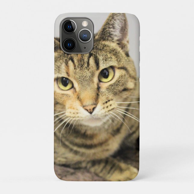 Funda De Case-Mate Para iPhone Gato (Reverso)