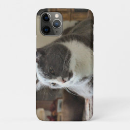 Funda Para iPhone 11 Pro Gato