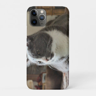 Funda Para iPhone 11 Pro Gato