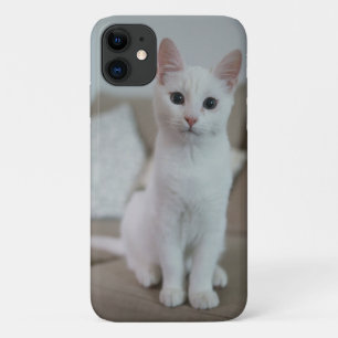 Funda Para iPhone 11 gato americano de pelo corto blanco