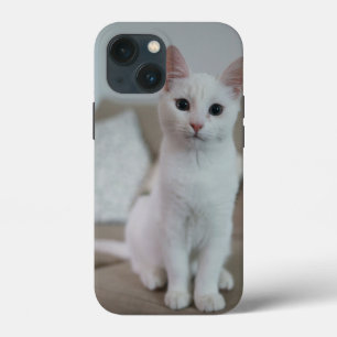 Funda Para iPhone 13 Mini gato americano de pelo corto blanco