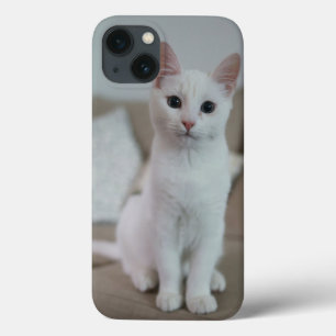 Funda Para iPhone 13 gato americano de pelo corto blanco