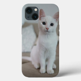 Funda Para iPhone 13 gato americano de pelo corto blanco