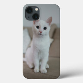 Funda Para iPhone 13 Gato blanco | Zazzle_Growshop.